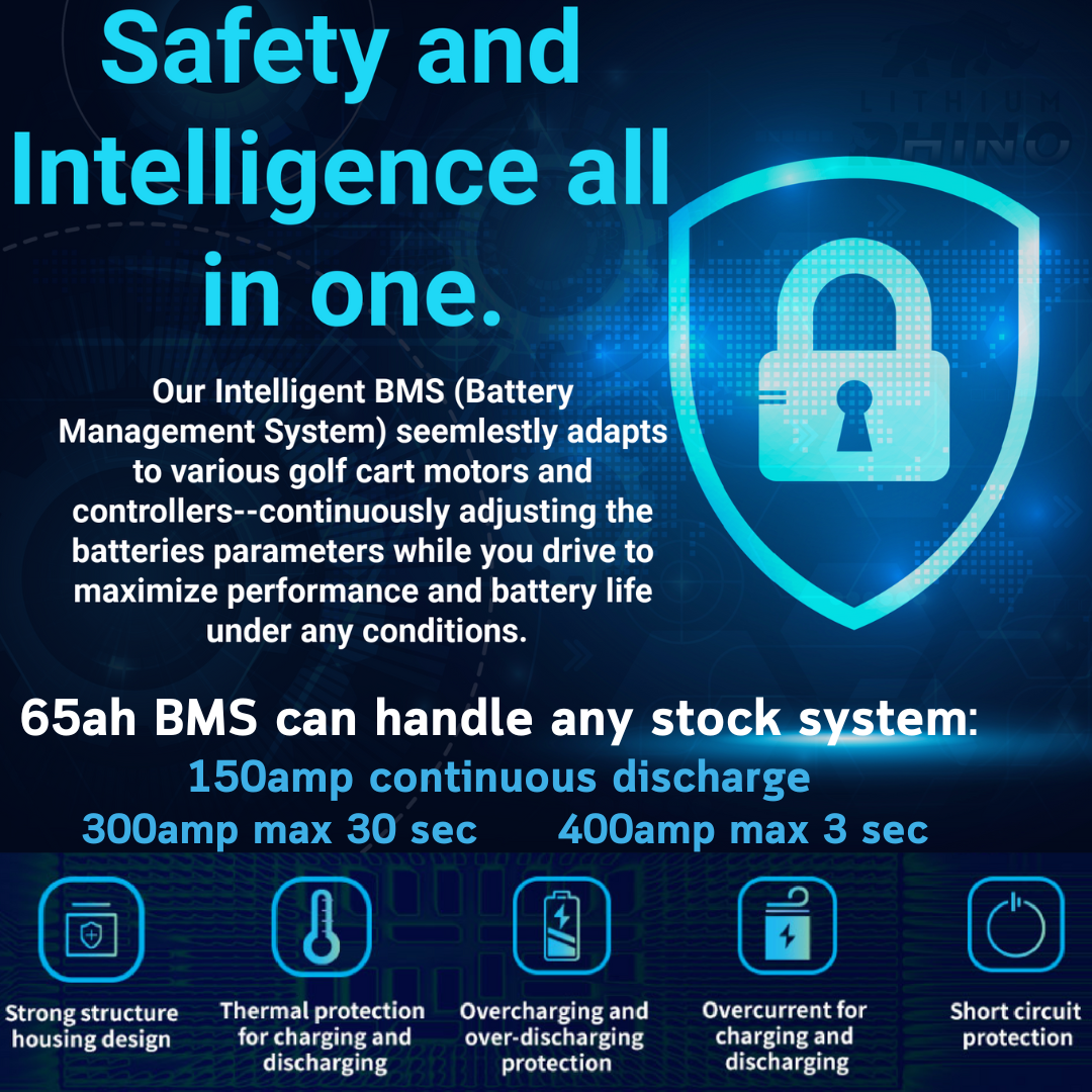 48v 65ah lithium rhino conversion kit