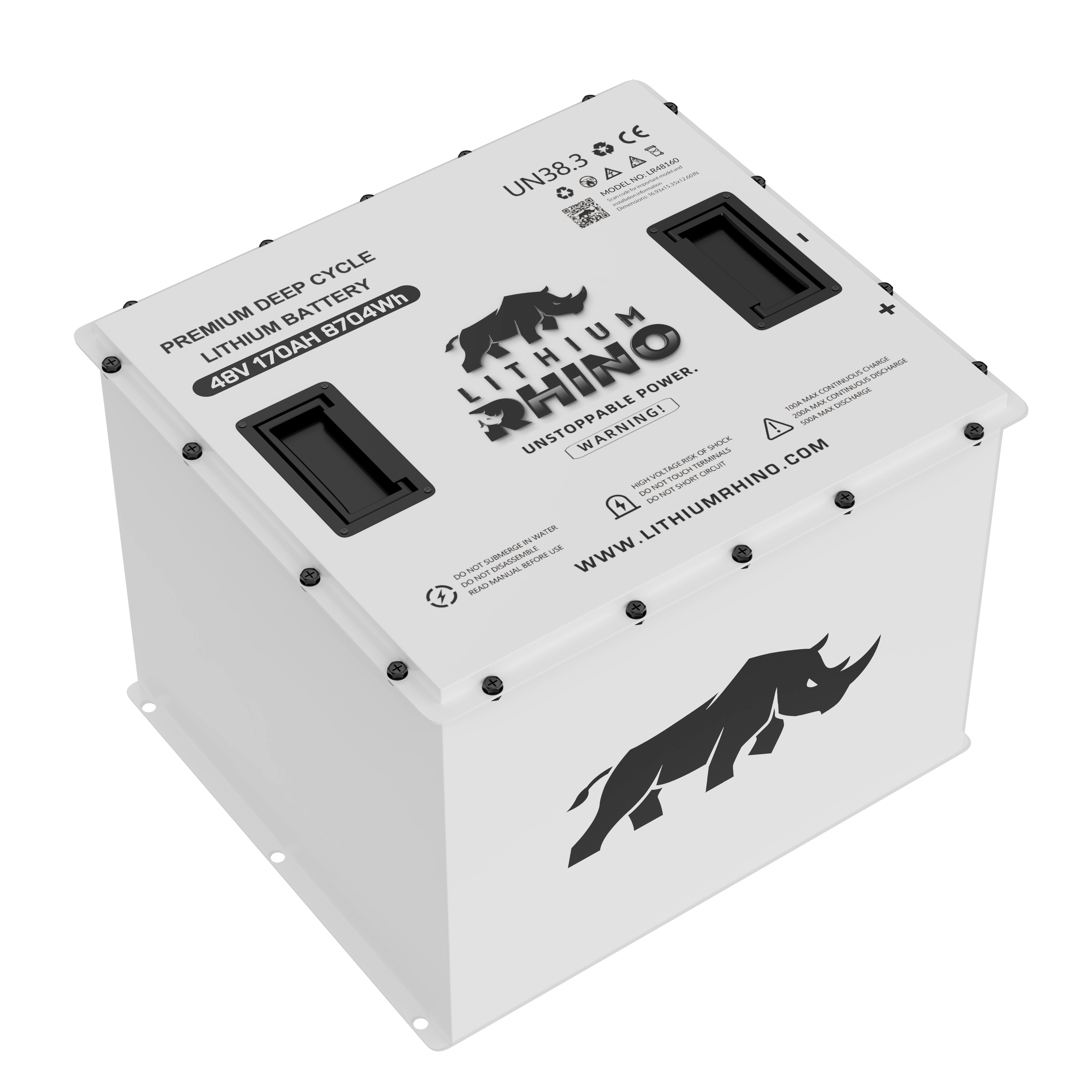 48v 170AH Lithium Rhino 300a BMS Conversion Kit