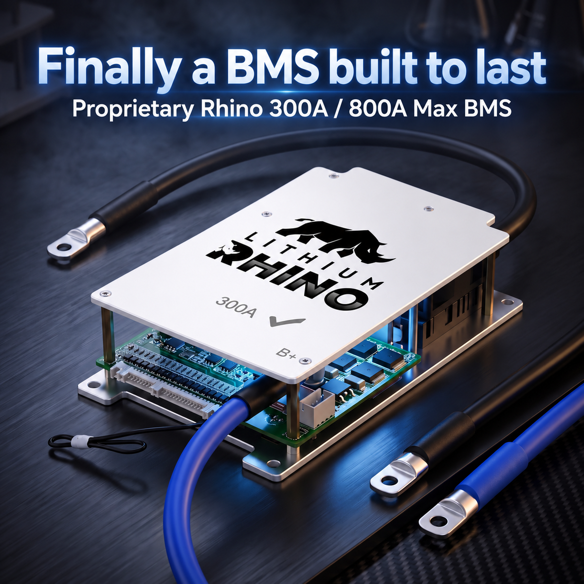 48V 170Ah Lithium Rhino 300a BMS Conversion Kit