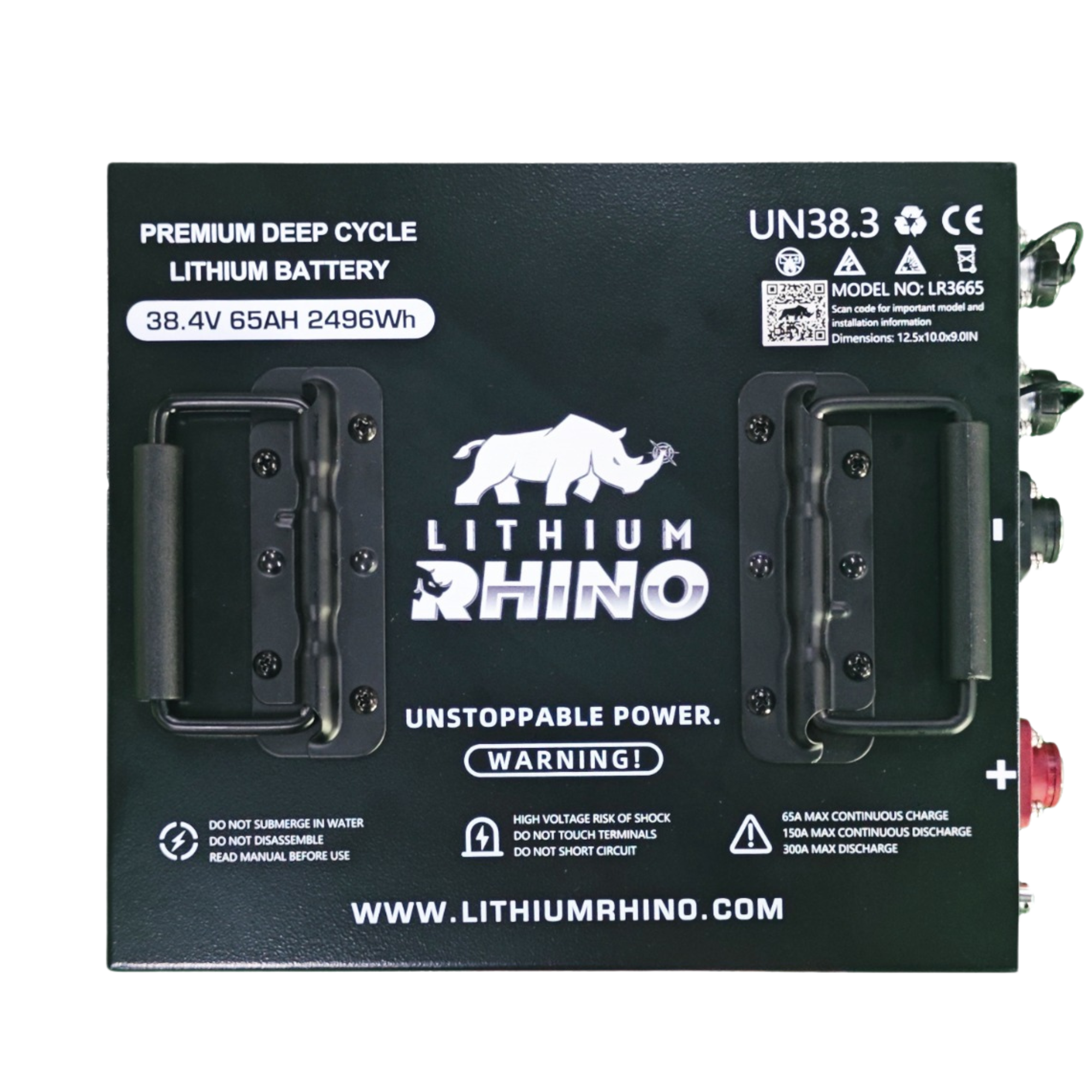 36V 65ah Lithium Rhino Conversion Kit