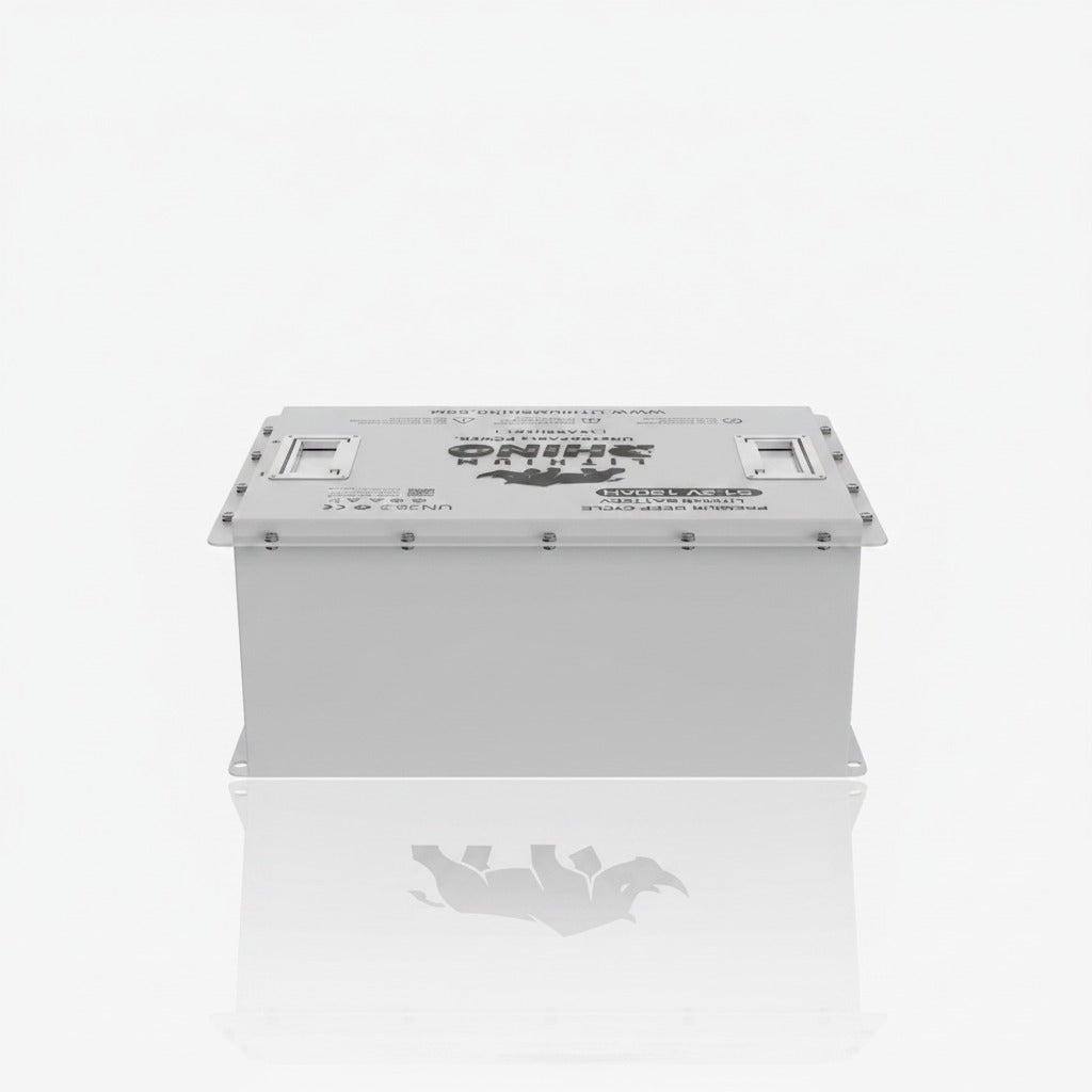 48v-120ah-lithium-conversion-kit-self-heated - back