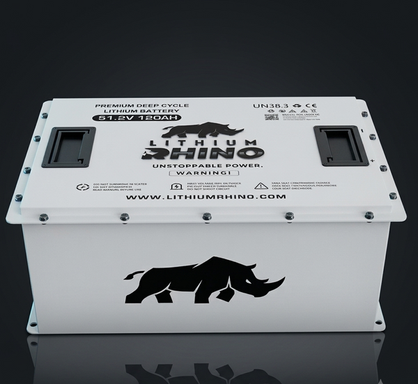 48V 120Ah Lithium Rhino Conversion Kit