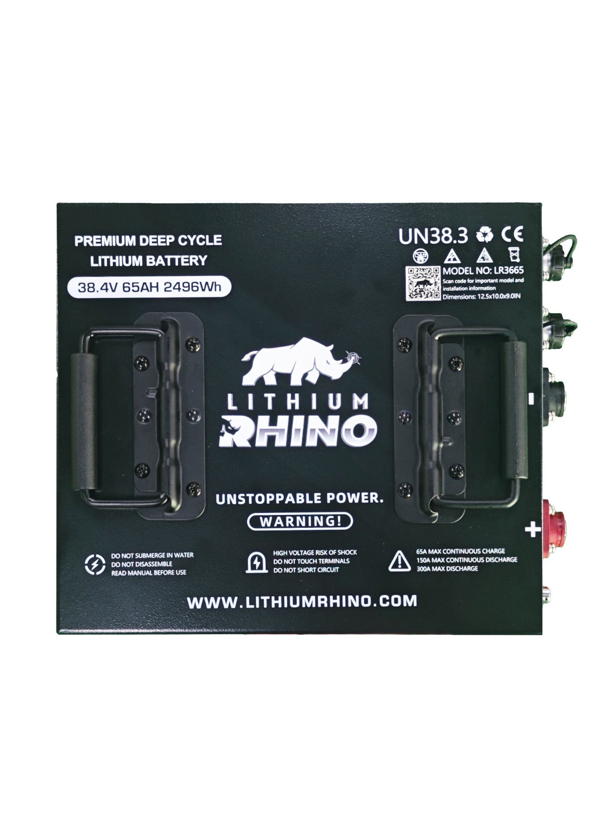 36V 65ah Lithium Rhino Conversion Kit