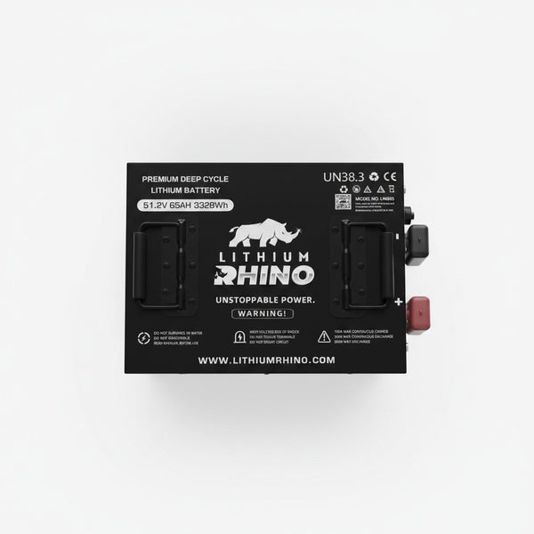 48v-65ah-lithium-rhino-conversion-kit-coming-late-july-early-aug-pre-order-now - top